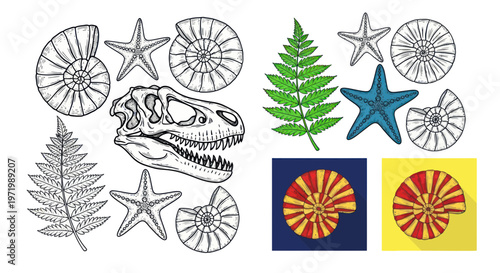 Dinosaur Skull, Fossils, Starfish, Ferns, Ammonite - Vintage Illustration Set