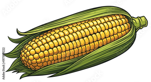 Fresh Corn Cob with Green Leaves, Ripe Yellow Kernels, Healthy Food Illustration