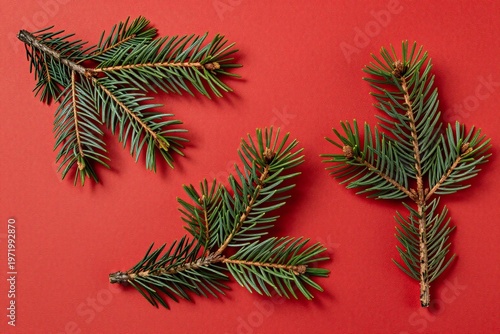 A red background with green fir branches on it
