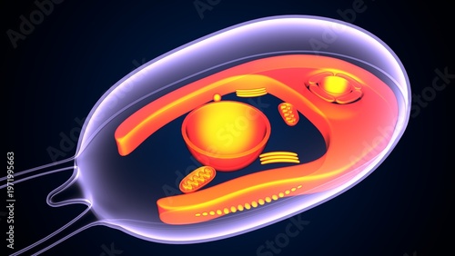 Chlamydomonas insect anatomy. 3d illustrations