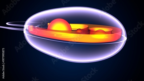 Chlamydomonas insect anatomy. 3d illustrations