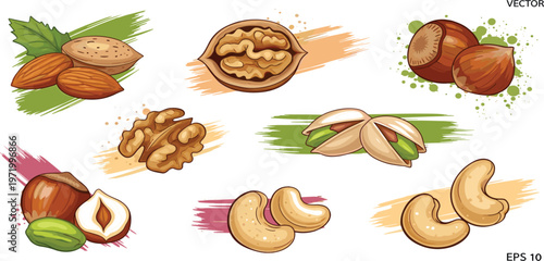 Nuts Collection with Almond, Walnut, Hazelnut, Pistachio and Cashew, Hand Drawn Food Illustration Set for Healthy Snacks, Organic Nutrition, and Culinary Design