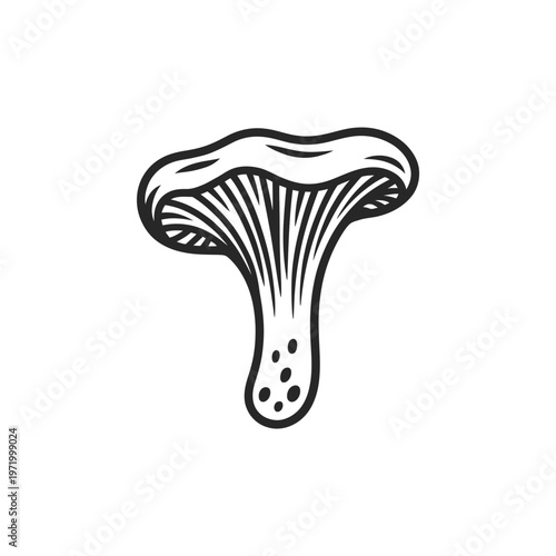 Detailed black and white illustration of a single chanterelle mushroom