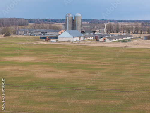 Fotografie Winter crops have frostbitten. Aerial photo.