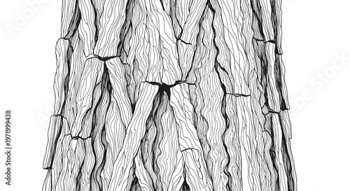 Detailed illustration of rough tree bark texture, organic natural pattern, black and white