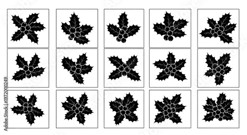 Collection of stylized black holly sprigs with berries on white background isolated vector graphics representing winter holidays and festive decorations ideal for christmas design