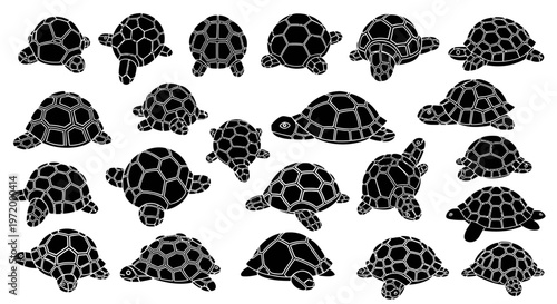 Collection of diverse turtle silhouettes in various poses and sizes showcasing different angles and perspectives against a clean white background ideal for educational