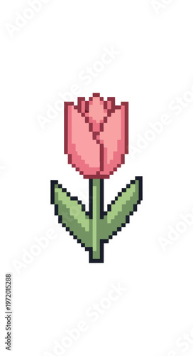 Pixelated pink tulip isolated on black background