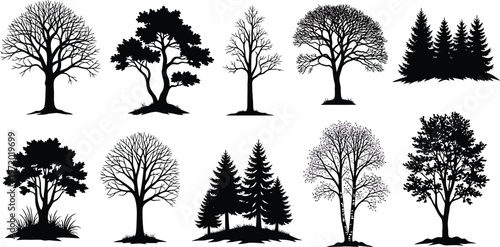 Tree Silhouettes Isolated on White Background