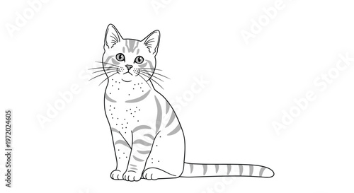 Detailed black and white sketch of a sitting tabby cat with stripes and long whiskers looks forward with a calm expression.