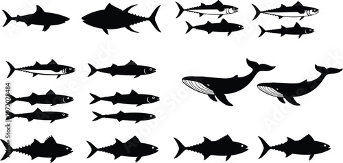 Collection of marine animal silhouettes including sharks, whales, and fish representing ocean wildlife, aquatic diversity, and underwater ecosystem illustration set
