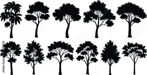 Tree silhouettes vector set, tropical and forest trees collection including palm and deciduous shapes, nature landscape elements isolated on background
