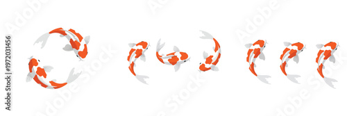 image of a group of koi fish swimming