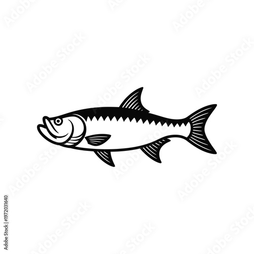 Black and white illustration of a tarpon fish swimming gracefully