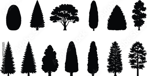 Tree silhouette collection with various forest and garden species shapes, black and white vector set for landscape and nature design use