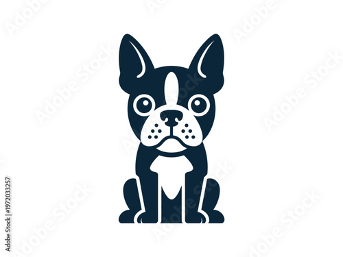Boston Terrier Dog Sitting On White Background For Pet Care Concepts