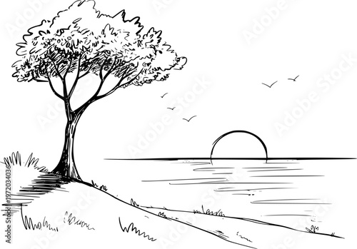 Of a lone tree a grassy hill overlooking the ocean at sunset with birds flying nature