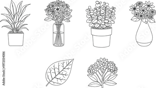Houseplant and flower outline vector set, potted plants bouquets and leaf illustration collection, botanical design elements isolated on clean background