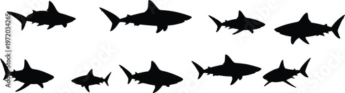 Shark silhouettes collection vector set, different marine predator fish shapes isolated, ocean wildlife icons for underwater and aquatic design projects