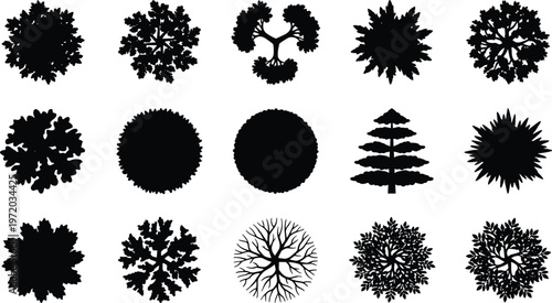 Top view tree silhouettes set, forest canopy shapes collection, landscape design elements, botanical vector icons isolated on clean background
