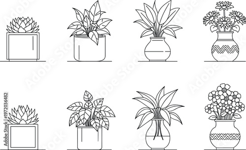 Indoor plants outline set, potted houseplants collection with decorative pots isolated, botanical home decor illustration for interior design and gardening projects