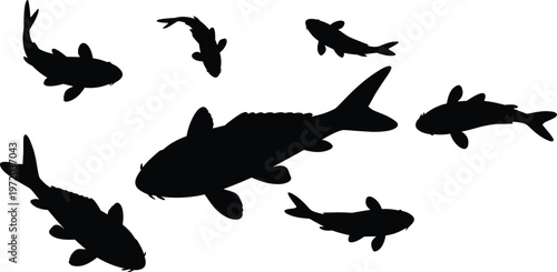 Silhouettes of seven koi or carp fish in varying sizes and orientations on white background