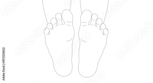 Minimalist outline drawing of human feet, toes, and soles, white background
