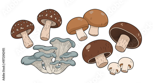 A pixelated illustration shows a diverse collection of brown-capped shiitake, button, and grey-blue oyster mushrooms scattered on a white background.