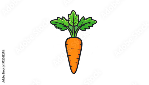Orange carrot with leafy top displayed as nutritious root vegetable isolated on clean background illustration vector