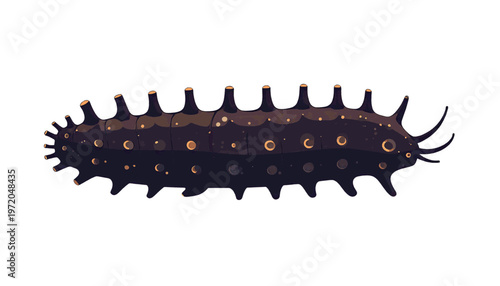 Sea cucumber with elongated dark body presented as marine seafood delicacy in simple illustration style vector