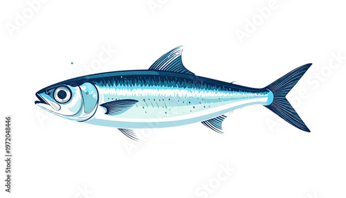 Silver sardine fish with streamlined body shown as fresh seafood ingredient in clean illustration style vector