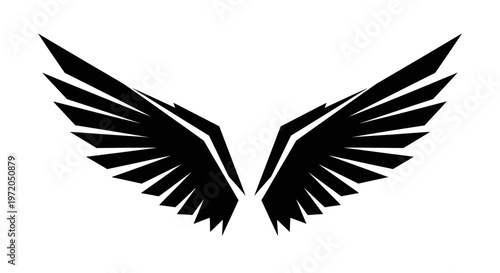 Falcon Wings Abstract Bold Design in Black on White