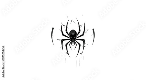 Black spider silhouette on white background.