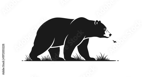 Black Bear Silhouette Walking in Grassy Field with Insect