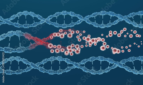 Viral infection causes DNA structure damage and mutation