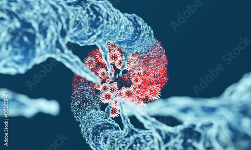 Viral infection causes DNA structure damage and mutation