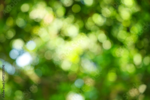 Green Abstract Nature Bokeh Background Textures