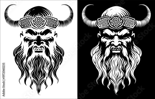 A Viking warrior or barbari...