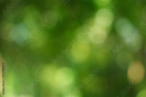 Abstract Green Nature Bokeh Background Texture