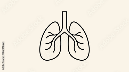 Vector graphic illustration of human lungs with trachea and bronchi
