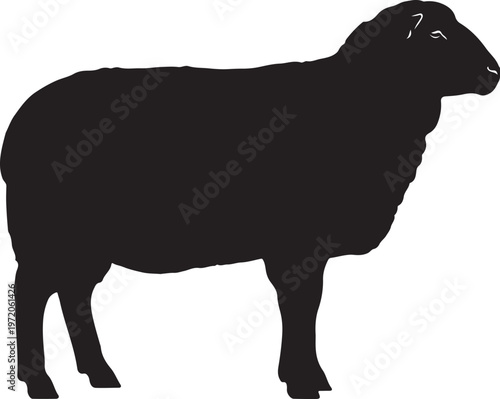 sheep icon illustration