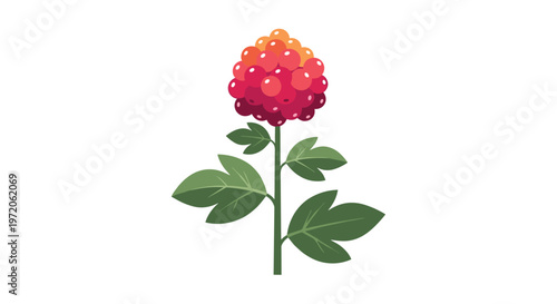 Single branch with green leaves and a dense cluster of round red and orange berries in a stylized nature illustration for autumn themes.
