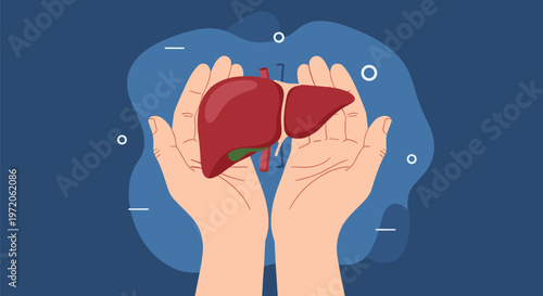 Pair of hands gently hold a healthy human liver illustration representing healthcare, organ donation, and medical awareness campaigns.