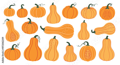 Large variety of different pumpkins and squash gourds in various shapes, sizes, and colors for autumn harvest and decoration.