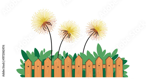 Three bright yellow dandelions growing tall behind a rustic wooden garden fence with some lush green shrubbery.