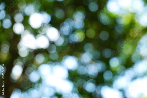 Abstract Nature Background With Soft Bokeh