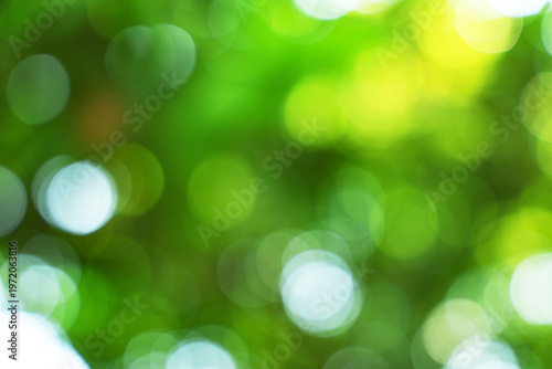 Abstract Green Nature Bokeh Background Blur