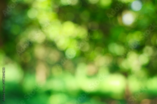 Green nature background with bokeh effect