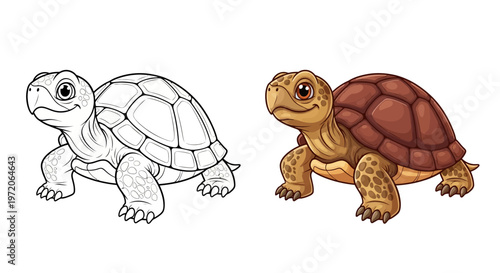 Cute Cartoon Turtle Coloring Page and Colored Version