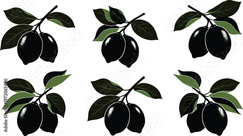 "Stylized illustration of lemon fruit pairs with green leaves on branches, repeated botanical motif design for food, nature, agriculture, and decorative pattern use"